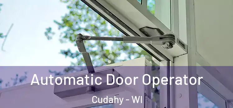  Automatic Door Operator Cudahy - WI