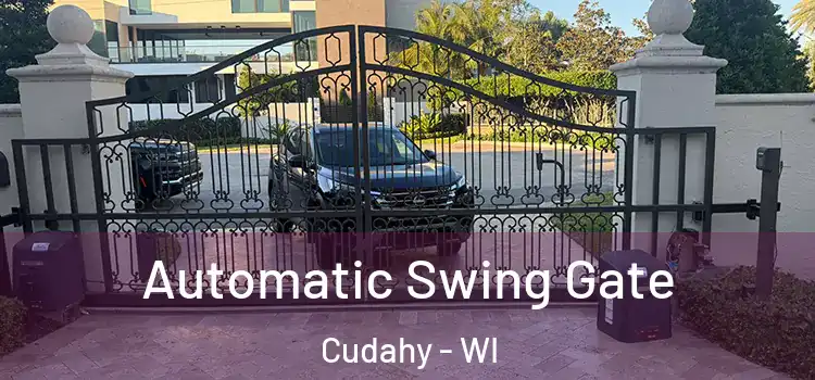  Automatic Swing Gate Cudahy - WI