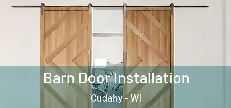  Barn Door Installation Cudahy - WI