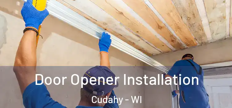  Door Opener Installation Cudahy - WI