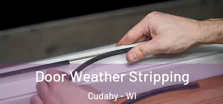  Door Weather Stripping Cudahy - WI