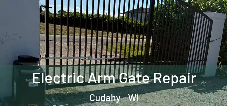  Electric Arm Gate Repair Cudahy - WI