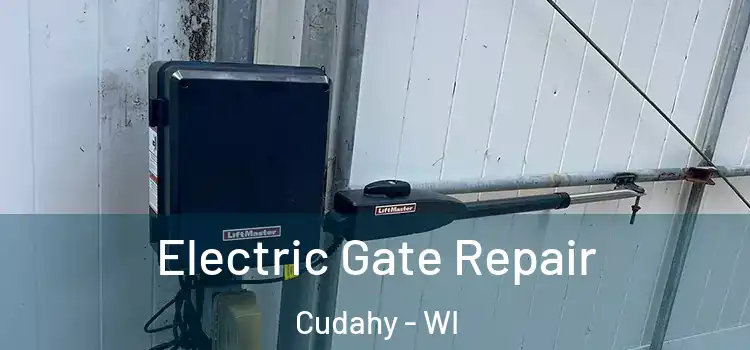  Electric Gate Repair Cudahy - WI