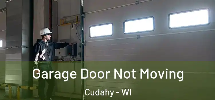  Garage Door Not Moving Cudahy - WI