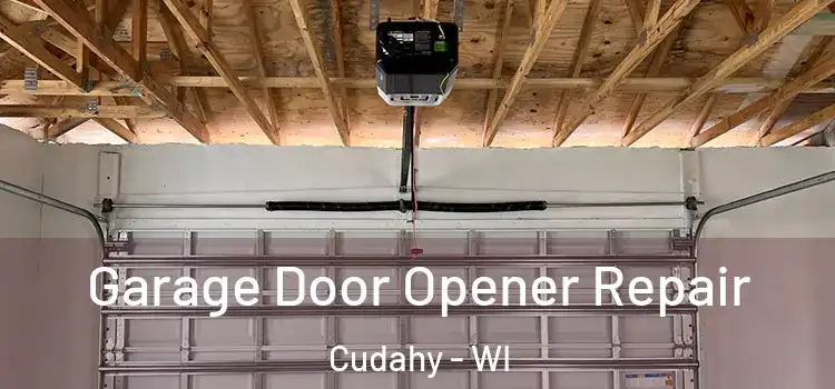  Garage Door Opener Repair Cudahy - WI