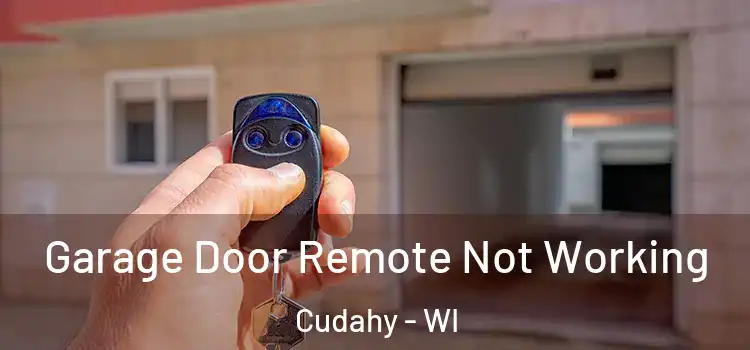  Garage Door Remote Not Working Cudahy - WI