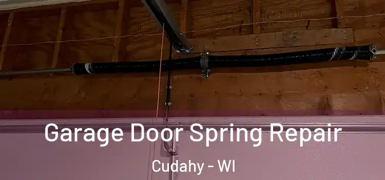  Garage Door Spring Repair Cudahy - WI
