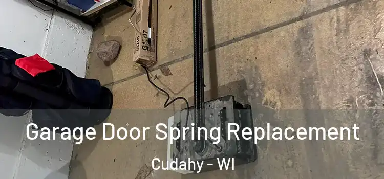  Garage Door Spring Replacement Cudahy - WI