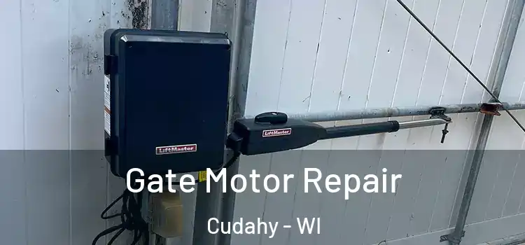  Gate Motor Repair Cudahy - WI