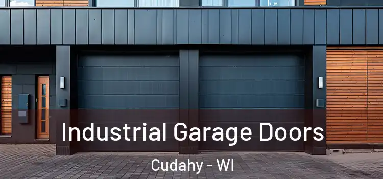  Industrial Garage Doors Cudahy - WI
