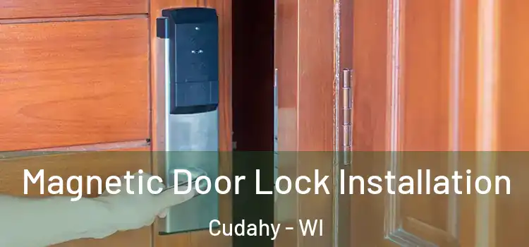  Magnetic Door Lock Installation Cudahy - WI