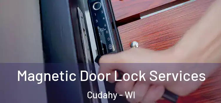 Magnetic Door Lock Services Cudahy - WI