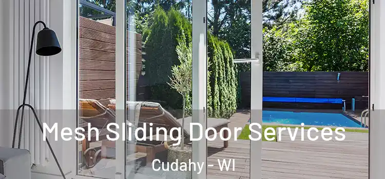  Mesh Sliding Door Services Cudahy - WI