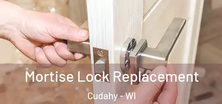  Mortise Lock Replacement Cudahy - WI