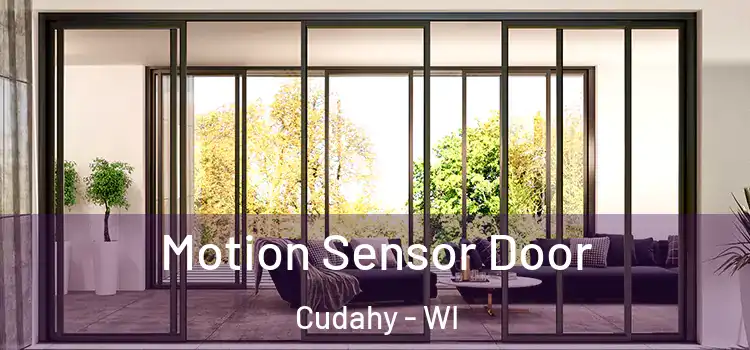  Motion Sensor Door Cudahy - WI