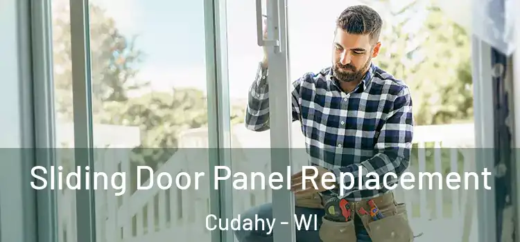  Sliding Door Panel Replacement Cudahy - WI