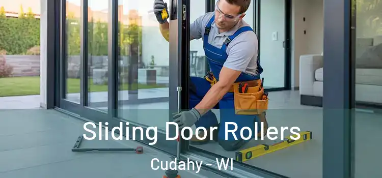  Sliding Door Rollers Cudahy - WI