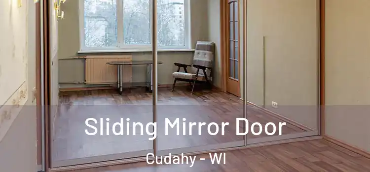  Sliding Mirror Door Cudahy - WI